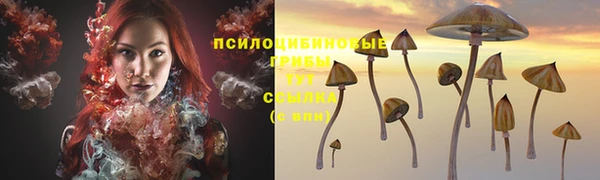 кристаллы Коряжма